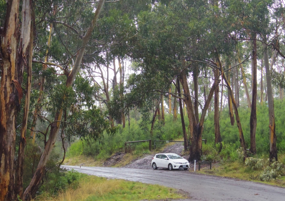 Un tour a deux travel voyage australie Melbourne Great Ocean Road Koala Rainy Day Car